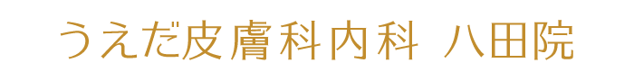 うえだ皮膚科内科 八田院